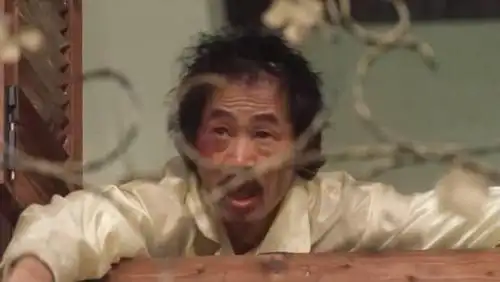 原创功夫高手排名瞎子垫底包租公第四火云邪神只排第三