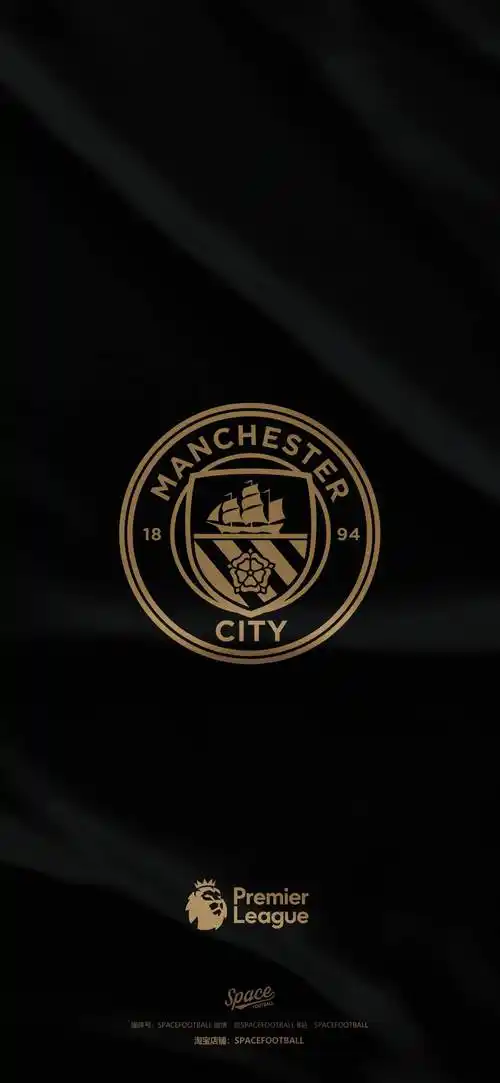 黑金控-英超队徽系列壁纸(第一期)排名不分先后d.