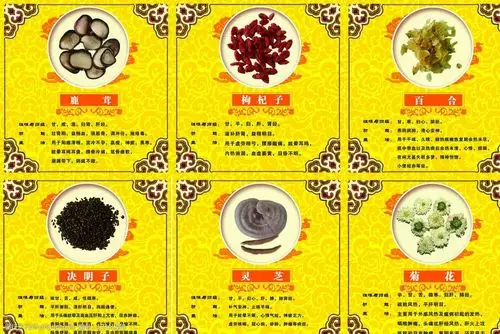 中药功能与主治图片
