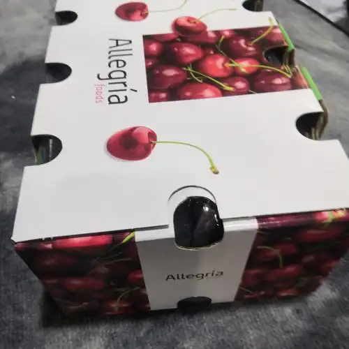 共113 件拉宾斯车厘子相关商品