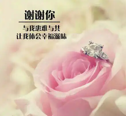 谢谢你,即使我不够优秀还如此爱我