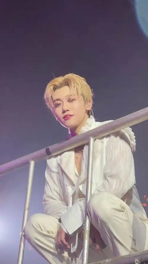 罗渽民近期演唱会生图