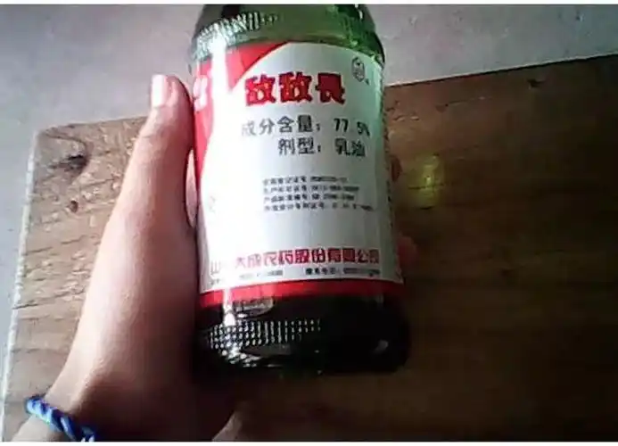 情和对彼此友谊的忠诚,两个女孩一合计,竟然想出了共同吞食农药的点子