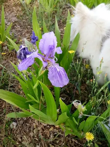 家乡美篇(一)欢迎来甘肃临泽游赏