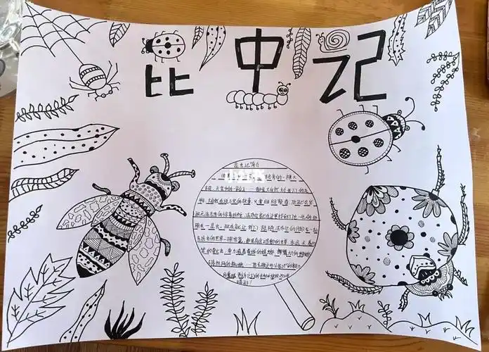 昆虫记手抄报