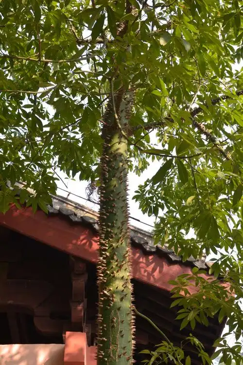 工业重镇,碧水柔情