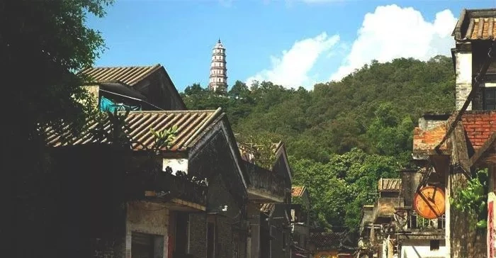 茶坑梁爱心节礼献茶坑村老人_新会