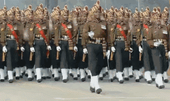 350_208gif 动态图 动图