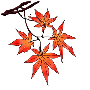 手绘唯美红色枫叶插画