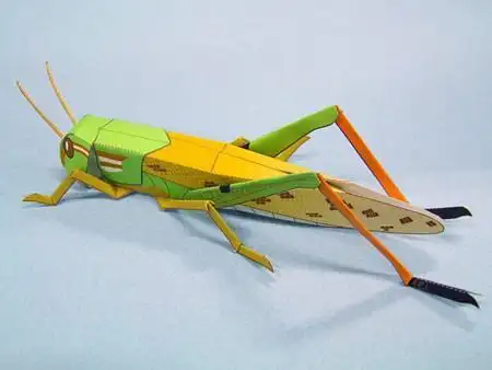 虫子折纸大全图片搜索