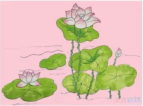 荷花图片简笔画彩色 荷花图片简笔画彩色儿童