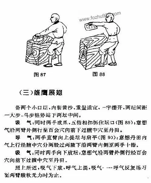 内劲鹰爪功佚名下载