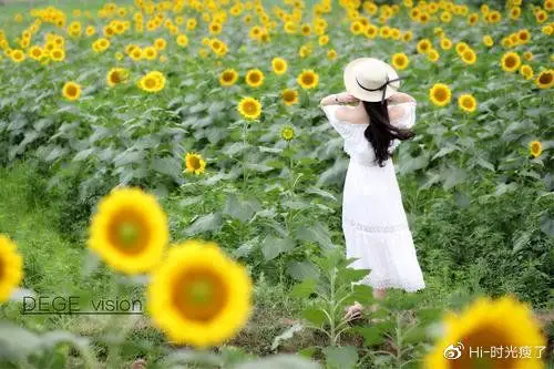 心若向阳花自开,人若向暖徐风来