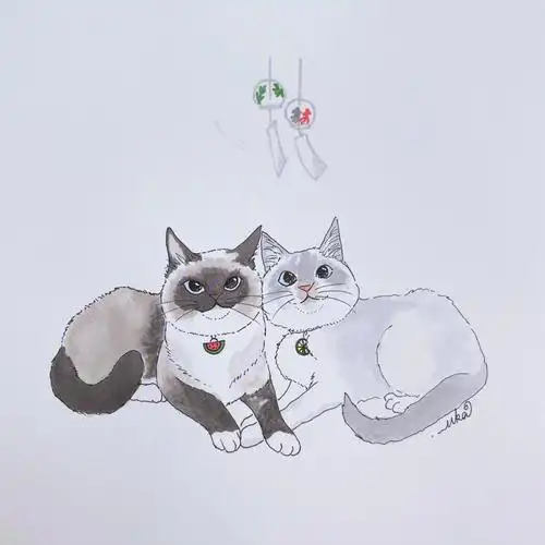 马克笔猫咪速涂マリブちゃんチョコ棒ちゃん