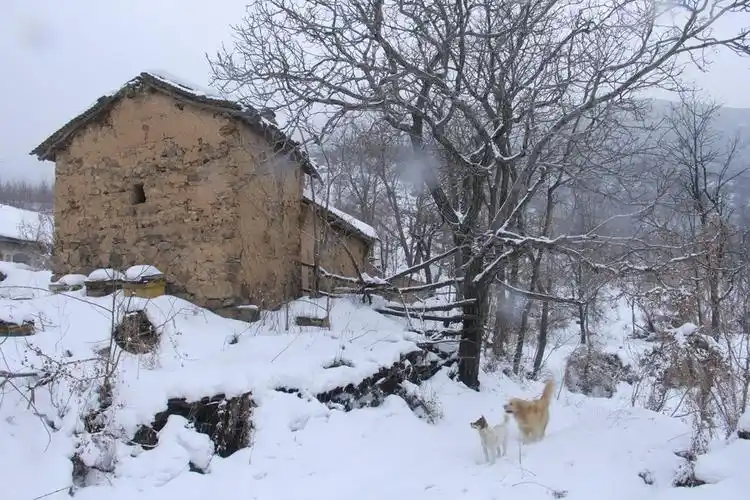 【三门峡山村雪景风光摄影图片】风光摄影_太平洋电脑网摄影部落