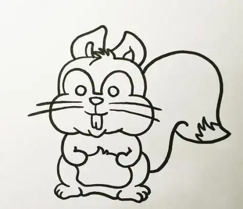 6,最后,将松鼠的整个身体涂上橙色,加深尾巴,画出两条线,可爱的松鼠就