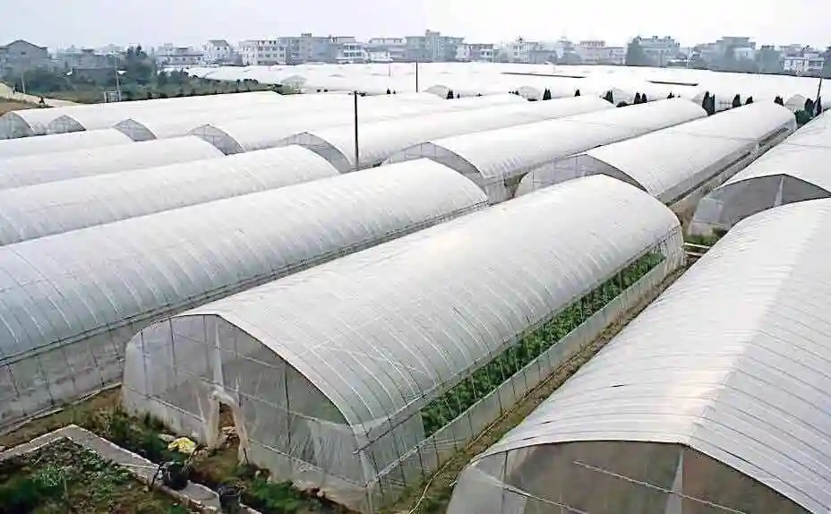 薄膜温室大棚