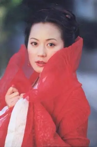 俞飞鸿 大明天子