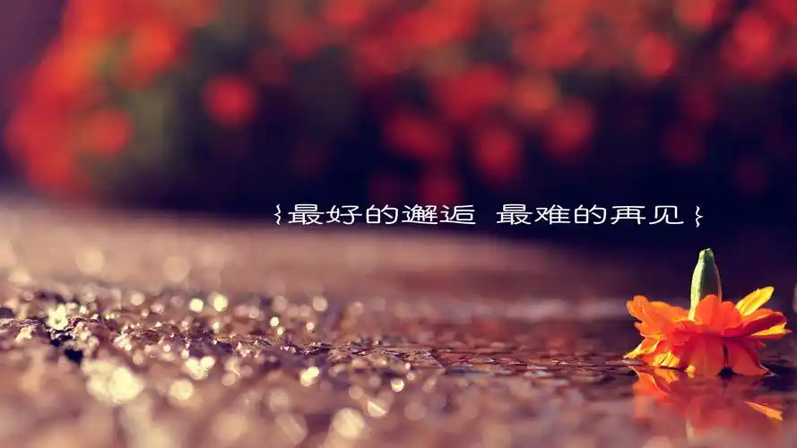 浪漫爱情箴言高清桌面壁纸