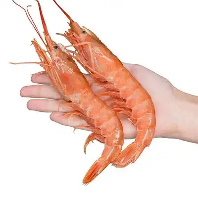 阿根廷大红虾特大海虾大虾2kg鲜活超大新鲜冷冻海捕红虾顺丰包邮