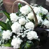 下载_怀念母亲去世吊念图片 深沉缅怀去世妈妈图片_微信头像图片大全