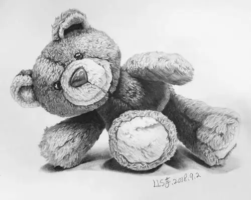 新县城立体班-素描毛绒玩具