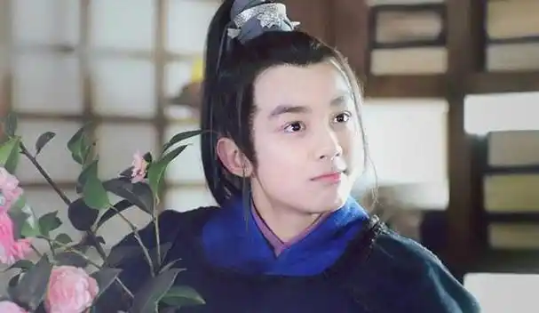 《琅琊榜》中的飞流身份?吴磊的演技如何?