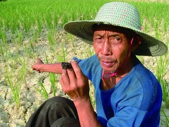 老一代农民当年那么勤劳,为什么生活还会那么困难,原来是这样啊