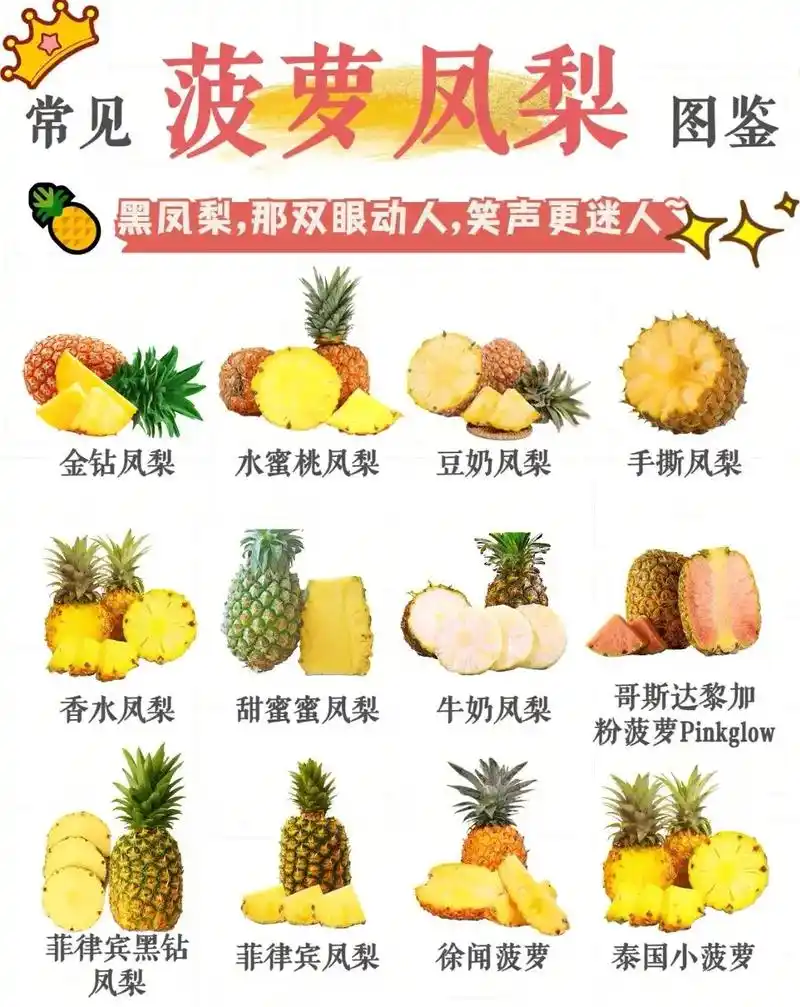 『95家族』12种常见菠萝/凤梨.首先澄清: 『凤梨』和『菠 - 抖音