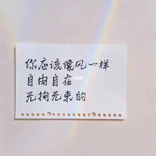 02你应该像风一样自由自在无拘无束的