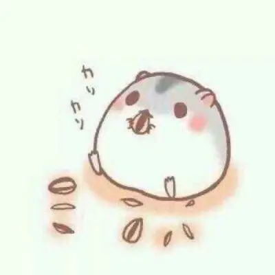 仓鼠萌图