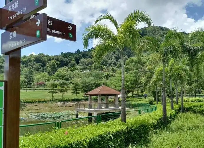 广东省惠州市惠阳区 板嶂岭森林公园