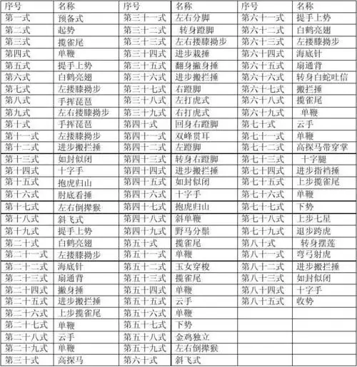 85式杨式太极拳的名称