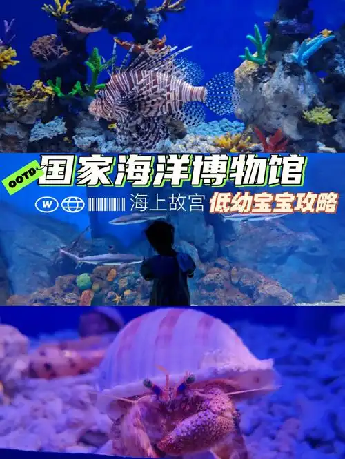2岁娃的低幼版国家海洋博物馆攻略