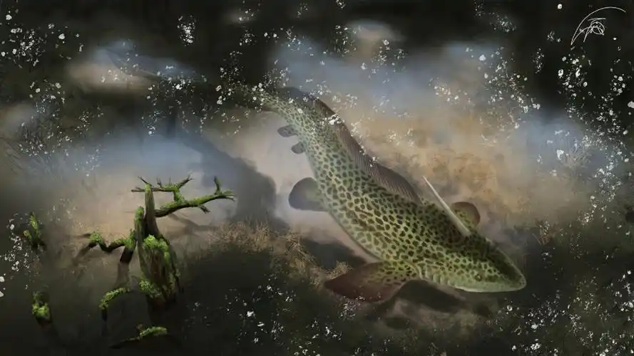 长有棘刺的异刺鲨在水底漫游胸脊鲨的背鳍如同刨刀鲨鱼正是靠着矫健的