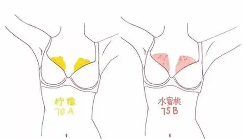 大b和小b有什么区别