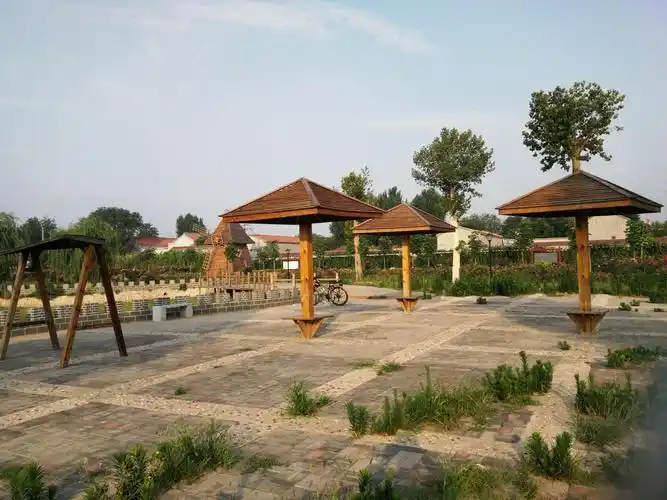 美丽乡村邯郸行～鸡泽县月季小镇王青村