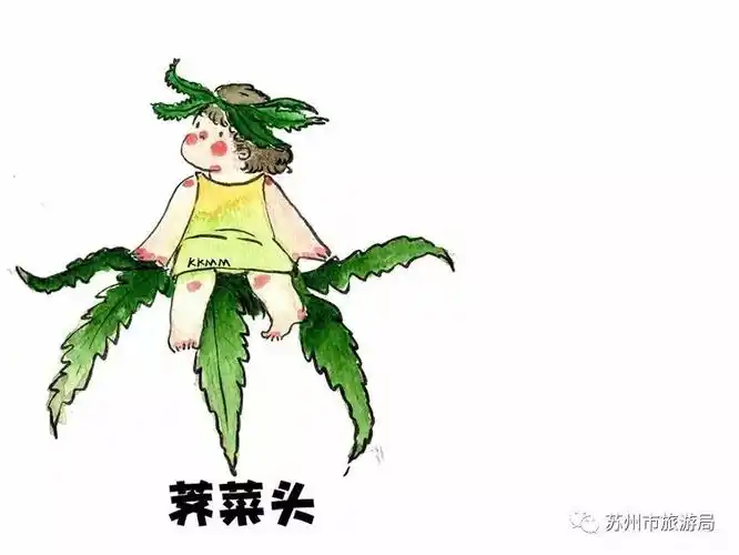 『闲画』苏州 | 不时不食,春风十里尝"七头一脑"