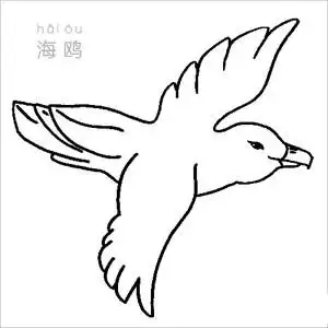 海鸥简笔画