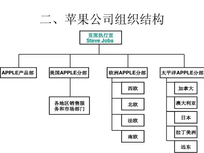 苹果公司组织结构分析ppt