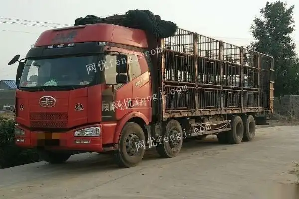解放j6前四后八拉猪车