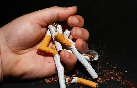 在张明的人生旅途中,有一个温馨的家庭始终陪伴着他.