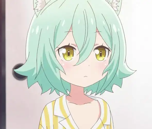 你喜欢的猫,才是好猫,2020年猫娘领养指南