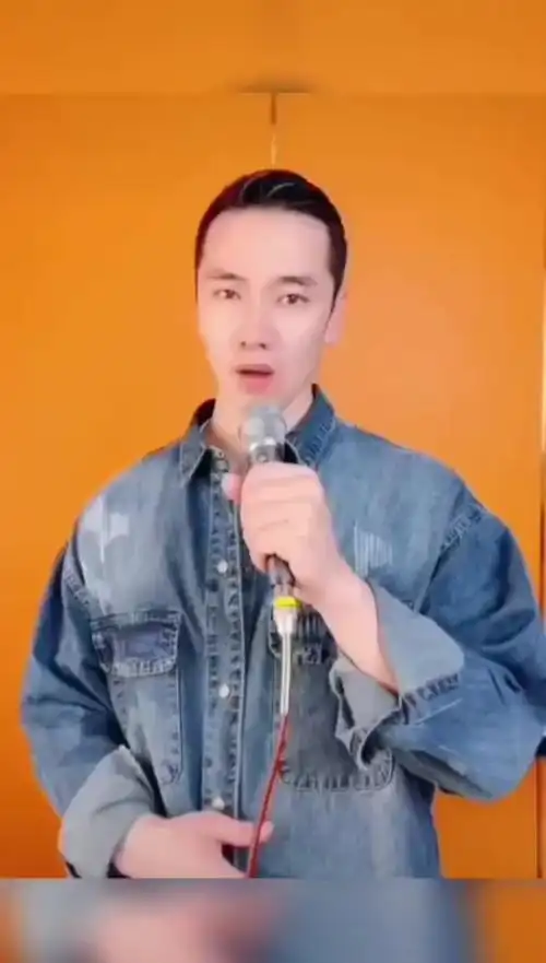 《何日是归途》回家过新年#优秀的经典作品@歌手王琪