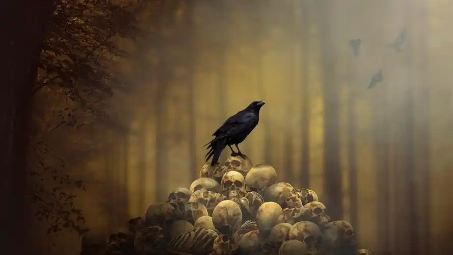 乌鸦,头骨 iphone 壁纸