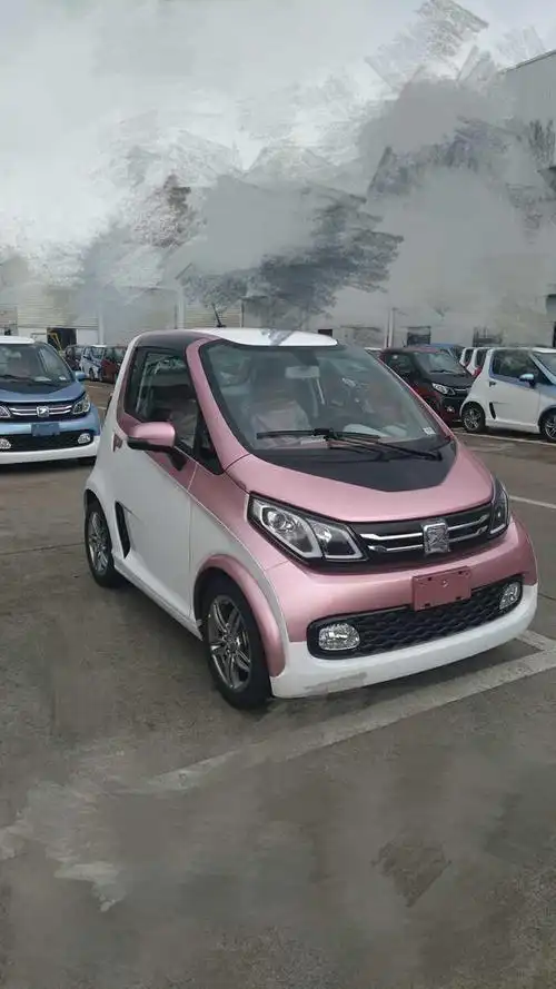 推荐一款,众泰e200,目前有三种颜色,两座车,补贴价59800,续航200公里