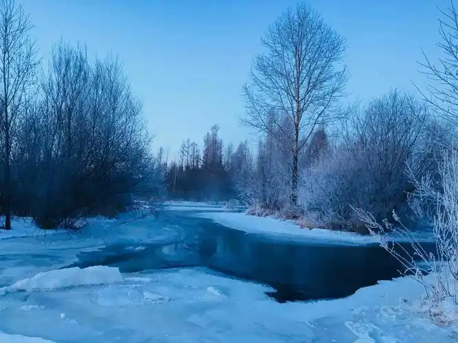 丁洁华美编!我们向着梦幻中的北方,白雪纷纷,脚下皑皑白雪……出发了