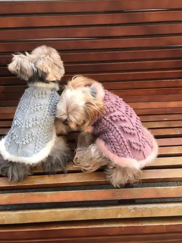 爱你就是为你织毛衣 云朗棒针狗狗毛衣-编织教程-编织人生