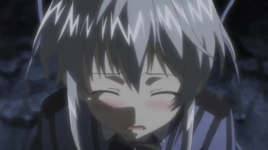 p>莉莉娅娜·克兰尼查尔(リリアナ·クラニチャール)是动漫作品《 a