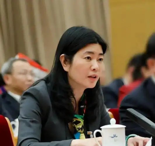 全国人大代表,湖南佳惠百货有限责任公司董事长李小红重点关注了加大